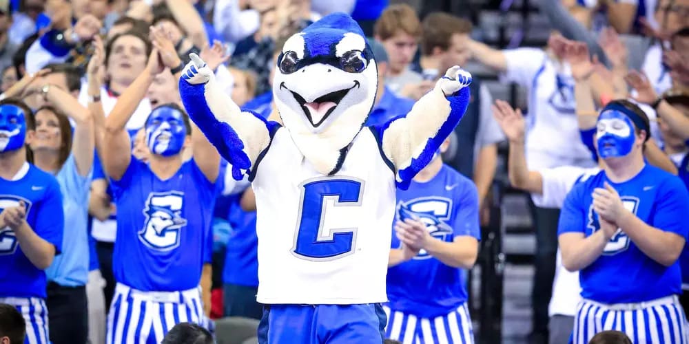 A blue and white bird mascot with a 