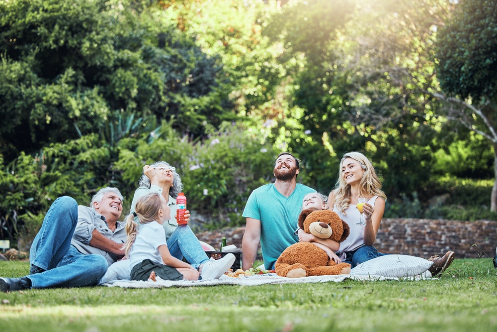 Fashion Cleaners A group of adults and children sit on the grass in a park having a picnic, with snacks, drinks, and a large teddy bear, surrounded by trees and sunlight.